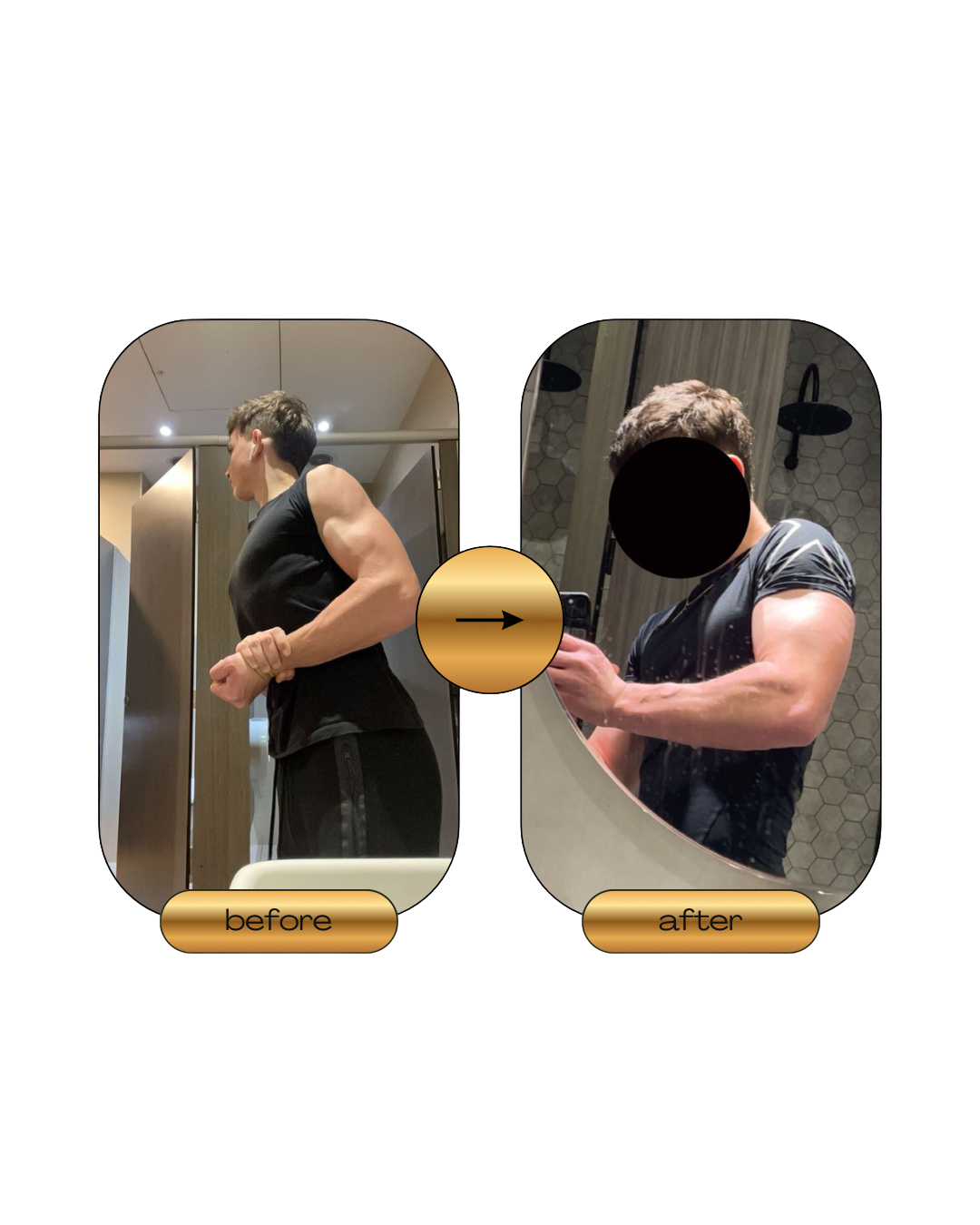 Arms, chest and back exploded
